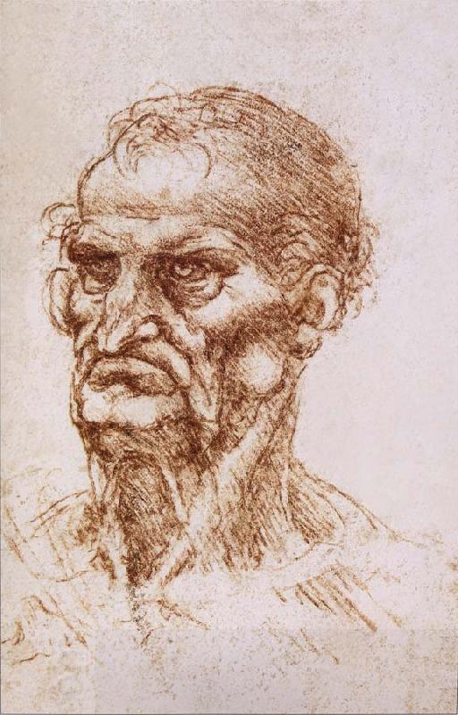 LEONARDO da Vinci Study of an old man China oil painting art